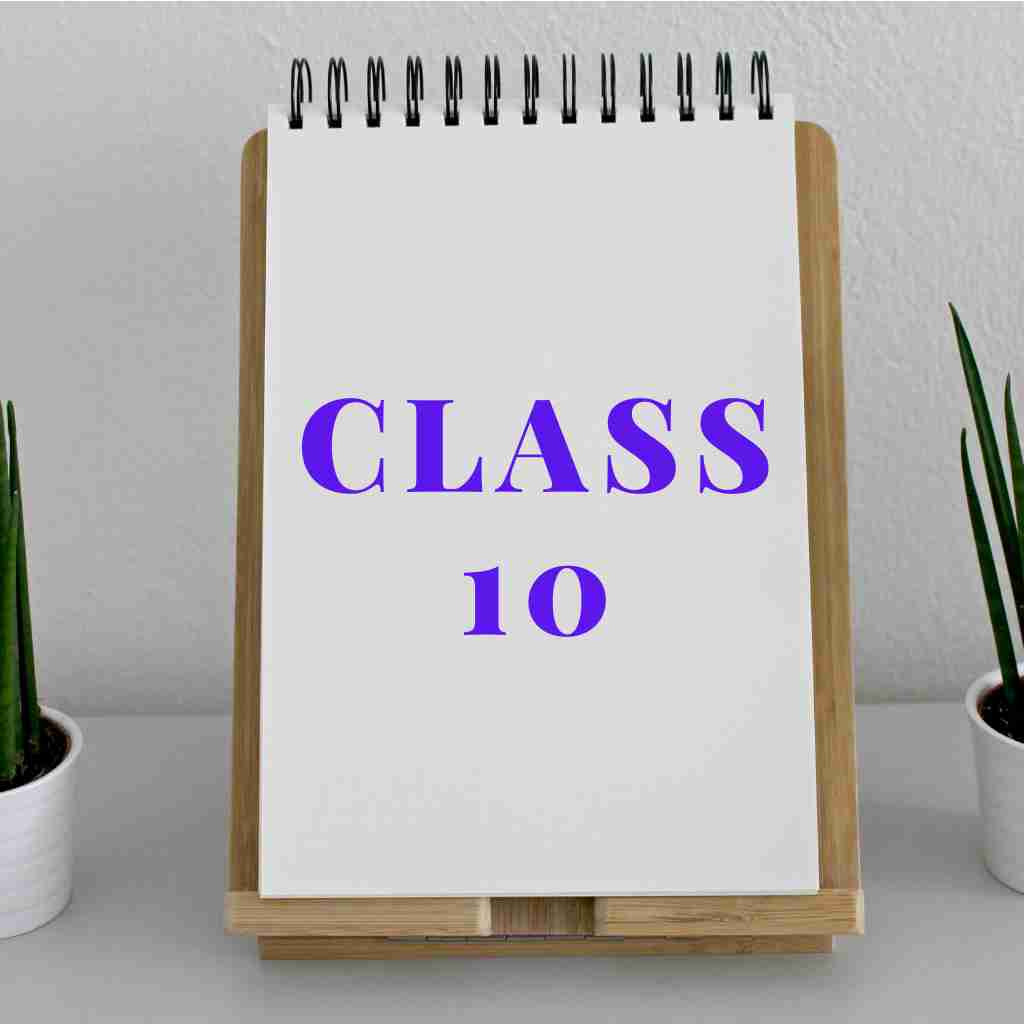 CLASS 10